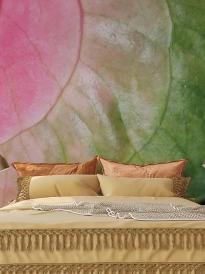 House360.in - Residential Wallpaper & Wall Mural Services Nature-Inspired & Tropical Murals photo 63