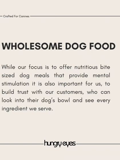 Hungry Eyes - Freshly Cooked Dog Meals Our Story, Our Community photo 8