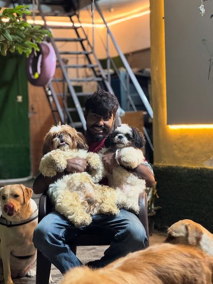 Three little fluffballs getting their share of evening affection. I make sure even the smallest dogs feel safe and secure in the group.