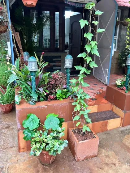 A container garden at an entryway, featuring a climbing plant on a trellis and solar-powered lights for a welcoming glow.