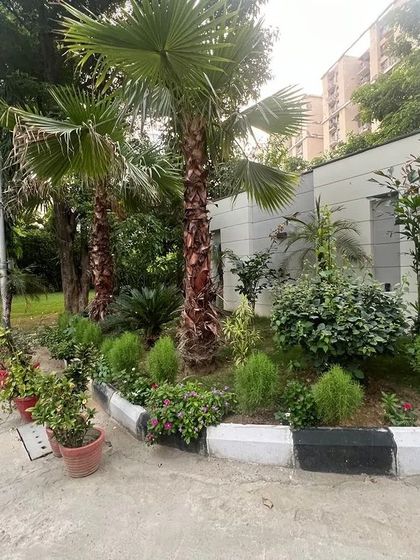 Landscaping for a residential society entrance, featuring a mix of palm trees, flowering shrubs, and neat border plants. Our designs aim to create a welcoming and well-maintained community environment.