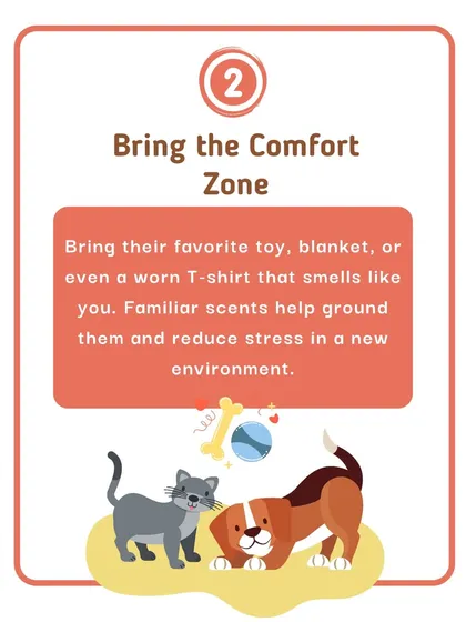 To make the vet's office feel more familiar, bring a piece of home with you. A favorite toy, blanket, or even a t-shirt that smells like you can provide comfort and reduce stress.