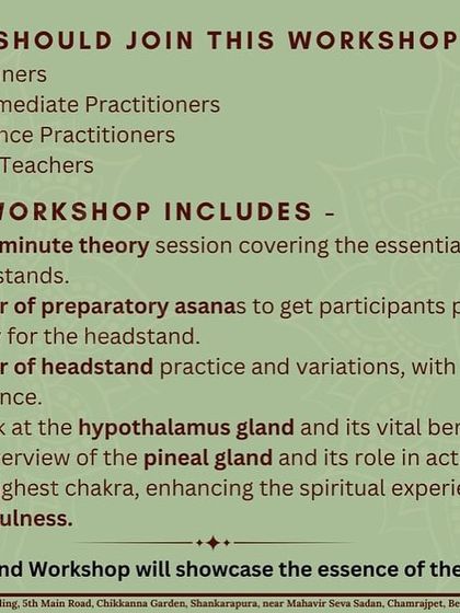 Yogatute Health - Yoga Teacher Training Advanced Practices: Inversions & Aerial Yoga photo 3