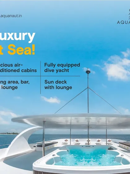 After a day of incredible dives, this is the perfect spot to unwind. The jacuzzi on the sun deck is a favorite for relaxing, sharing stories, and watching the sunset over the Indian Ocean.