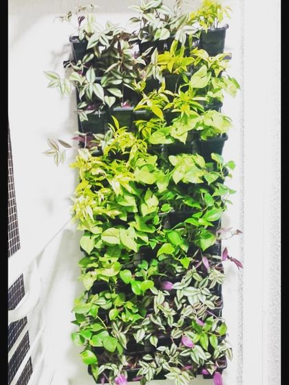 Treemendous - Interior & Exterior Plantscaping Vertical Gardens & Green Walls photo 9