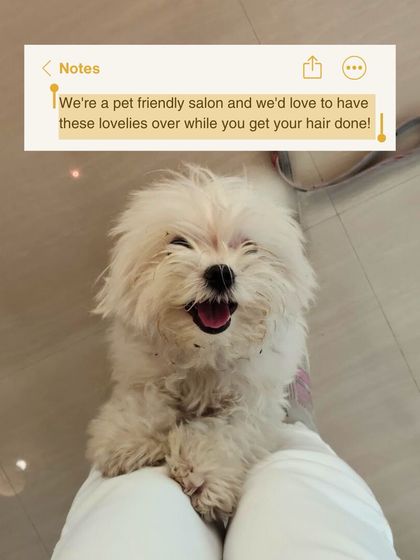 Just in case you were wondering, yes, we are absolutely a pet-friendly salon. We would love to have your lovely companions over while you get your hair done. All good-vibes creatures are welcome here.