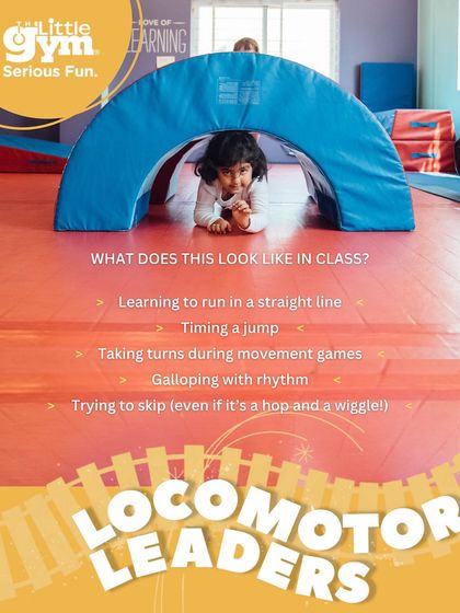 The Little Gym - Developmental Gymnastics Classes Preschool Gymnastics (3 - 6 years) photo 6