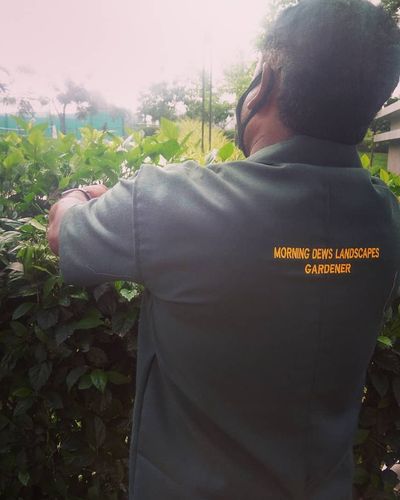 Garden & Landscape Maintenance
