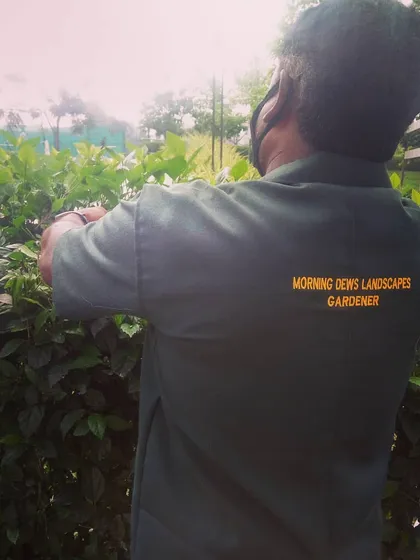 Our gardeners are professionals you can trust in your space. Each member of our team wears the Morning Dews Landscapes uniform, so you always know who is working to care for your garden.