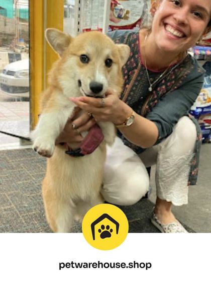 Pet Warehouse - Pet Supplies Professional Grooming Services photo 11