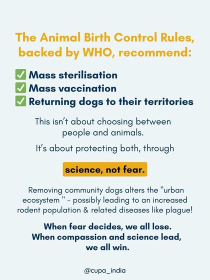 Cupa - Animal Cruelty Legal Aid & Advocacy Our Legal Fight for Animals photo 29