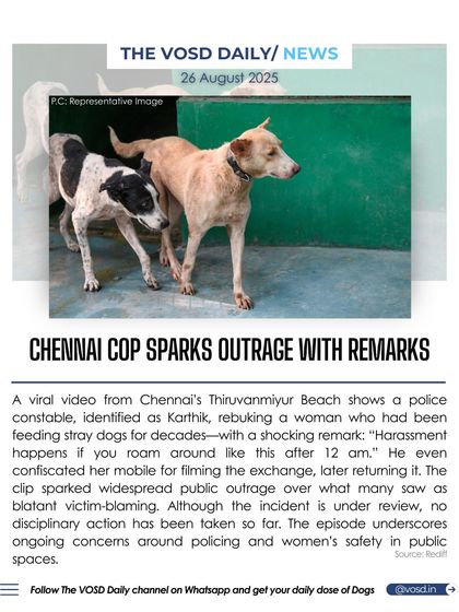 A Chennai police constable sparked outrage by rebuking a woman for feeding stray dogs late at night, blaming her for potential harassment. This incident underscores ongoing concerns about victim-blaming and the safety of animal feeders.