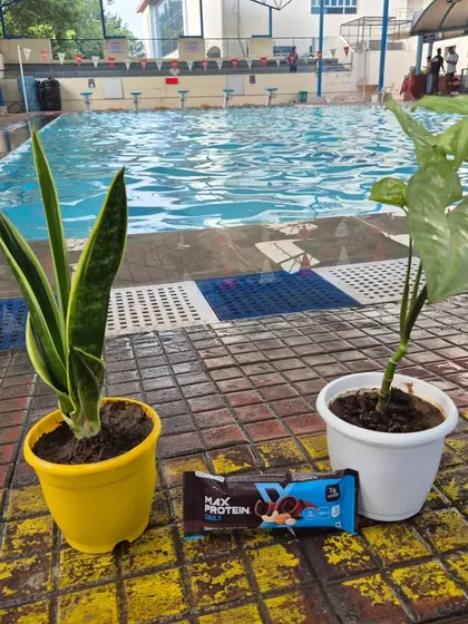 Plants and a protein bar, the perfect gifts for a coach. Thank you to my swimmers and their parents for their support.