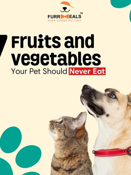 Not all human foods are safe for dogs. This guide shows seven common fruits and vegetables, like grapes and onions, that you should never feed your pet to avoid potential toxicity.