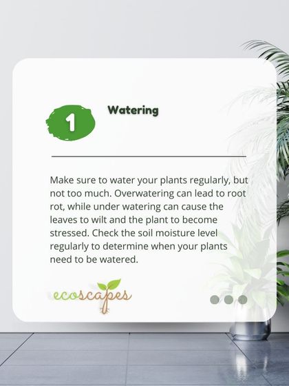 Ecoscapes Landscaping - Urban Gardening & Green Walls Urban Gardening Guides photo 22