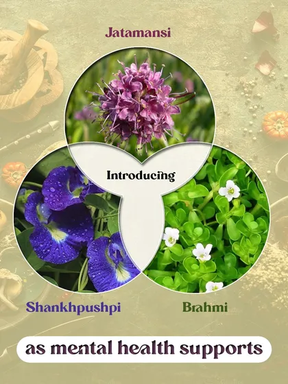 If you are feeling stressed or find it hard to focus, Ayurveda offers time-tested herbs for mental wellness. We introduce Brahmi to calm the nervous system, Shankhpushpi to improve focus, and Jatamansi to reduce anxiety and restlessness.
