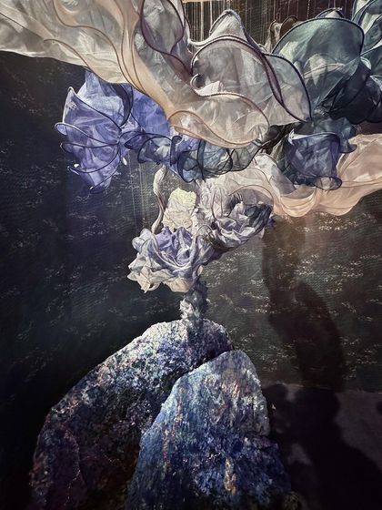 A repeat of image 118, a sculptural piece from the 'Into The Deep' installation.