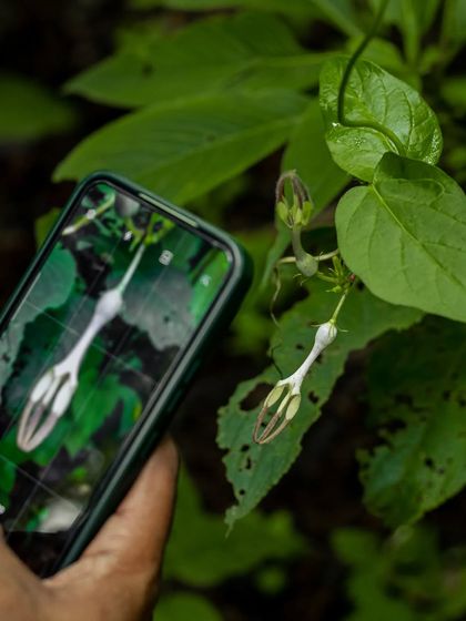 The Art of the Shot: Technique & Perspective photo 6