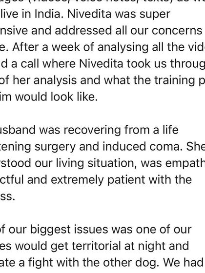 Confident Dogs - Canine Behavior Modification Real Dogs, Real Transformations photo 11