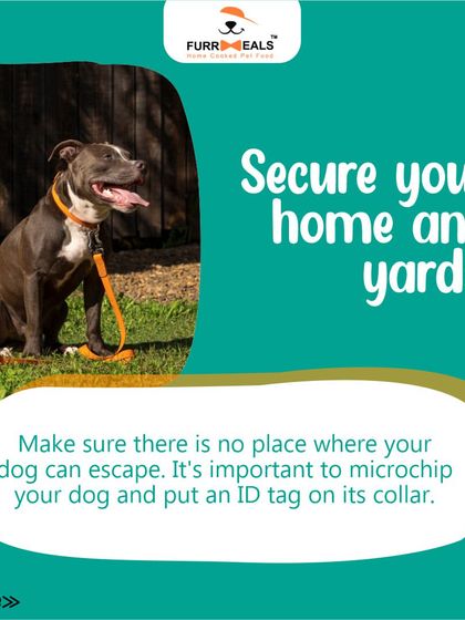 Preparing your home for a new dog is essential for a smooth transition. This guide walks you through the key steps, including dog-proofing your space, creating a cozy den, stocking up on supplies, and setting clear family rules.