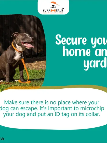 Preparing your home for a new dog is essential for a smooth transition. This guide walks you through the key steps, including dog-proofing your space, creating a cozy den, stocking up on supplies, and setting clear family rules.