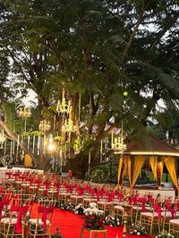 Wedding & Pre-Wedding Decoration