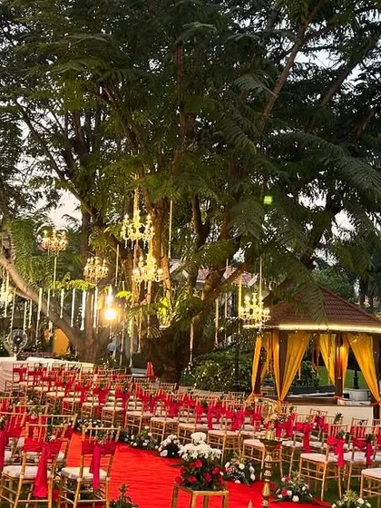 This photo captures the full ambiance of an evening wedding we decorated. The guest seating with red accents leads to a brightly lit mandap, while chandeliers hanging from the large tree add a magical glow to the entire resort venue.