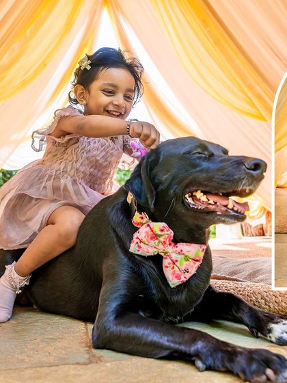 Pawparazzi By Prathima - Maternity & Newborn Photography with Pets Kids & Pups: Partners in Crime photo 34