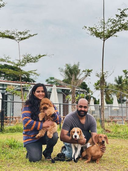 The Pawsome Camp - Dog Park & Pool Paws & People: A Community of Dog Lovers photo 17