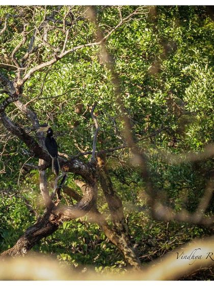 Monks On Wheels - Adventure Travel & Tours Wildlife & Nature Encounters photo 6