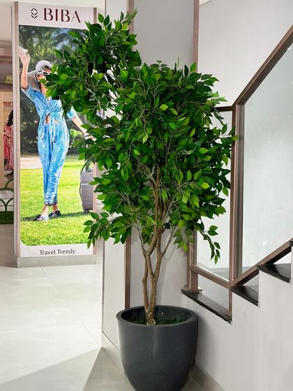 Greening Commercial & Office Spaces photo 20