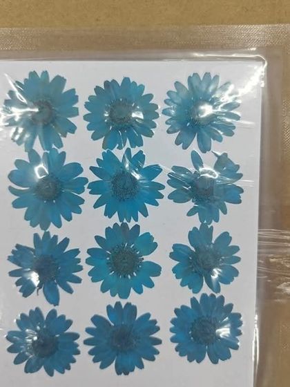These are pressed and dried blue daisy-like flowers. They are perfect for resin art, allowing you to create beautiful floral patterns in coasters, trays, and jewelry.