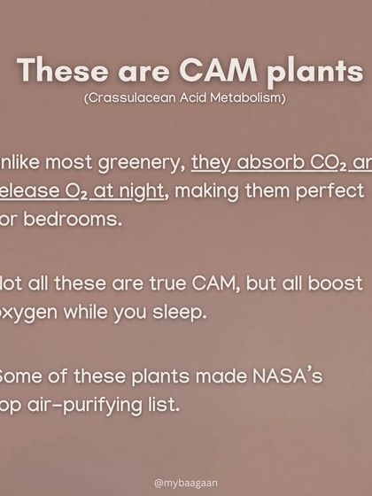 Your Green Guide photo 3