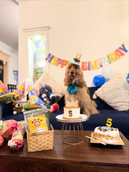 The birthday boy posing with his cake, gifts, and decorations. He was thoroughly spoiled.
