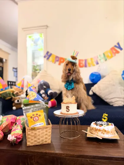 The birthday boy posing with his cake, gifts, and decorations. He was thoroughly spoiled.