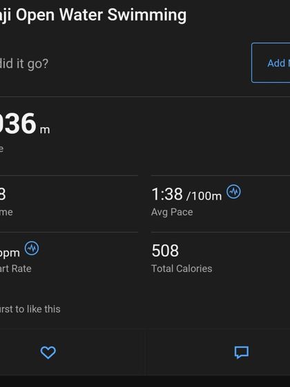 Nisha Millet Swimming Academy - Competitive & Performance Training Swim Gyaan from an Olympian photo 3