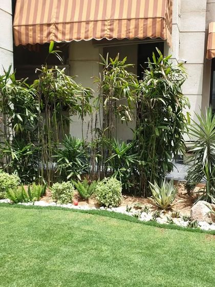 A tropical-themed garden bed featuring bamboo, yucca, and agave plants, using white pebbles for a clean, low-maintenance finish.