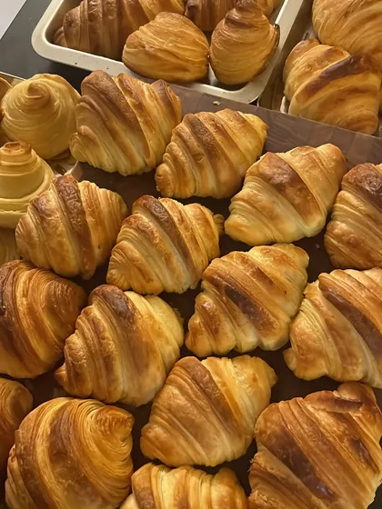 A beautiful batch of freshly baked croissants. The golden, flaky layers are a testament to proper lamination and baking technique.