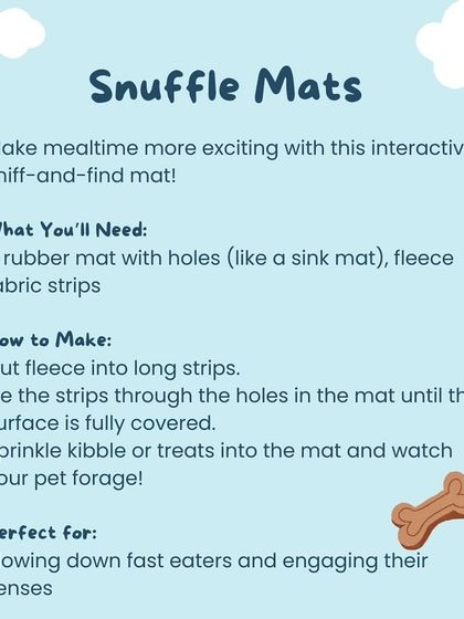 Oh My Dawg - Pet Supplies Playtime & Enrichment photo 13