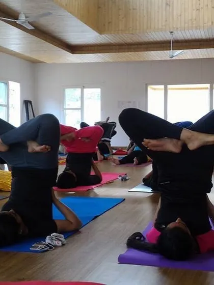 Students practicing variations of the headstand. Our courses provide the time and guidance to master challenging inversions.