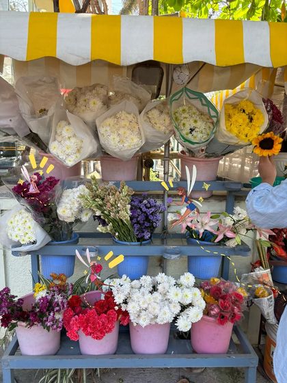 Vaishnavi Patel - Custom Photo & Video Art Just for Fun: My Life in Doodles photo 20