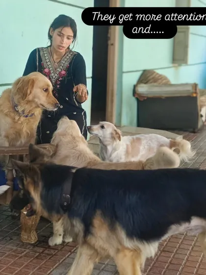 Our new staff member is already a favorite with the dogs. They can sense a true animal lover.