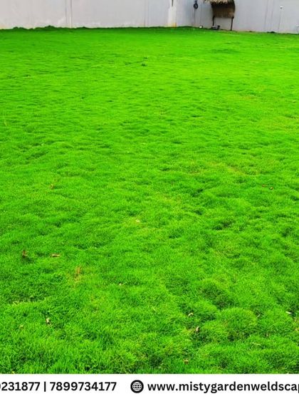 The result of our work: a perfect, dense, and vibrant green carpet of natural Mexican grass. This is the quality and finish we strive for in every lawn installation.