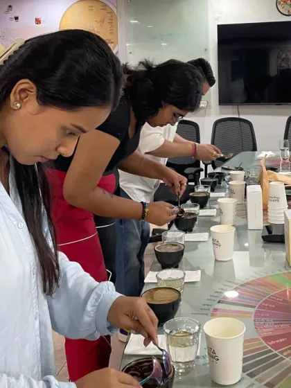 This is a coffee cupping session in action. You'll learn to taste coffee like a pro, identifying different notes and characteristics. We use tools like the flavor wheel to put words to what you're tasting, making the process accessible and not just for snobs.