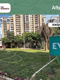 Landscape & Garden Design