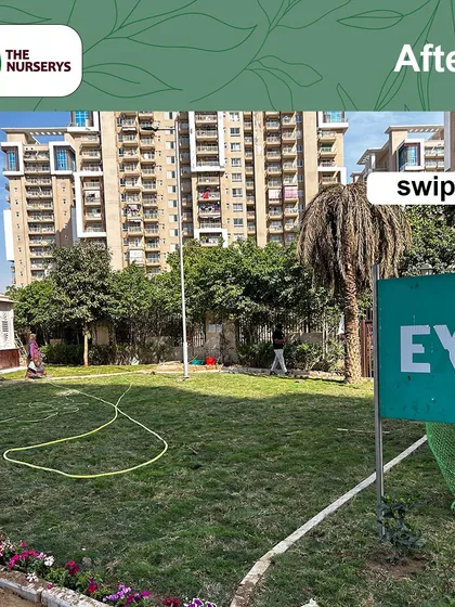 Here is the 'after' view of a large lawn installation project at Emaar Palm Gardens. My team and I laid this natural grass to create a sprawling green space for the community to enjoy. I handle landscaping projects of all sizes, from small balconies to large society parks.