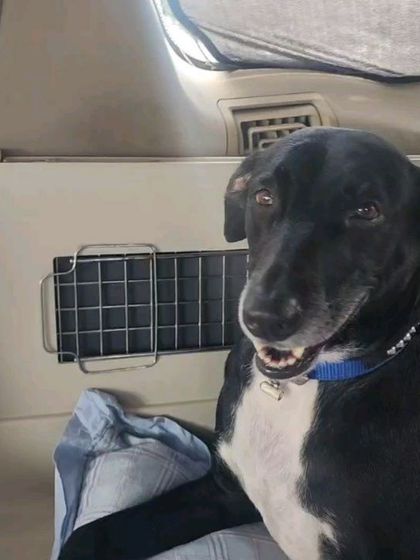 Adventures in the USA photo 30