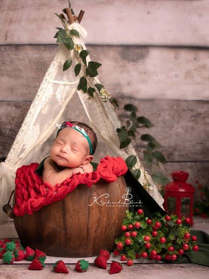 Meghana Merchant - Newborn Photography Dreamy Prop Setups photo 39