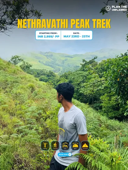 A trekker looks out over the green landscape of the Netravathi Peak trek.