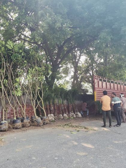 Delhi Gardner - Full-Service Landscaping Our Process: From Concept to Creation photo 9